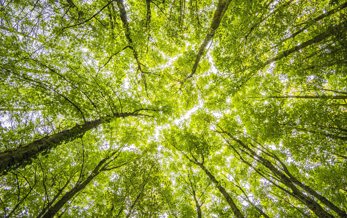 Citywire Australia - Fixed income in focus