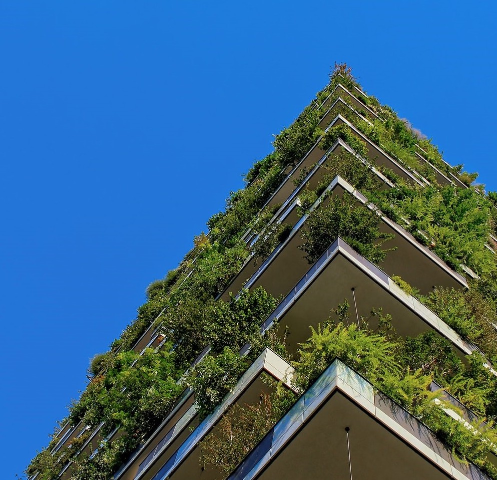 Qualitas affirms its public commitment to sustainability